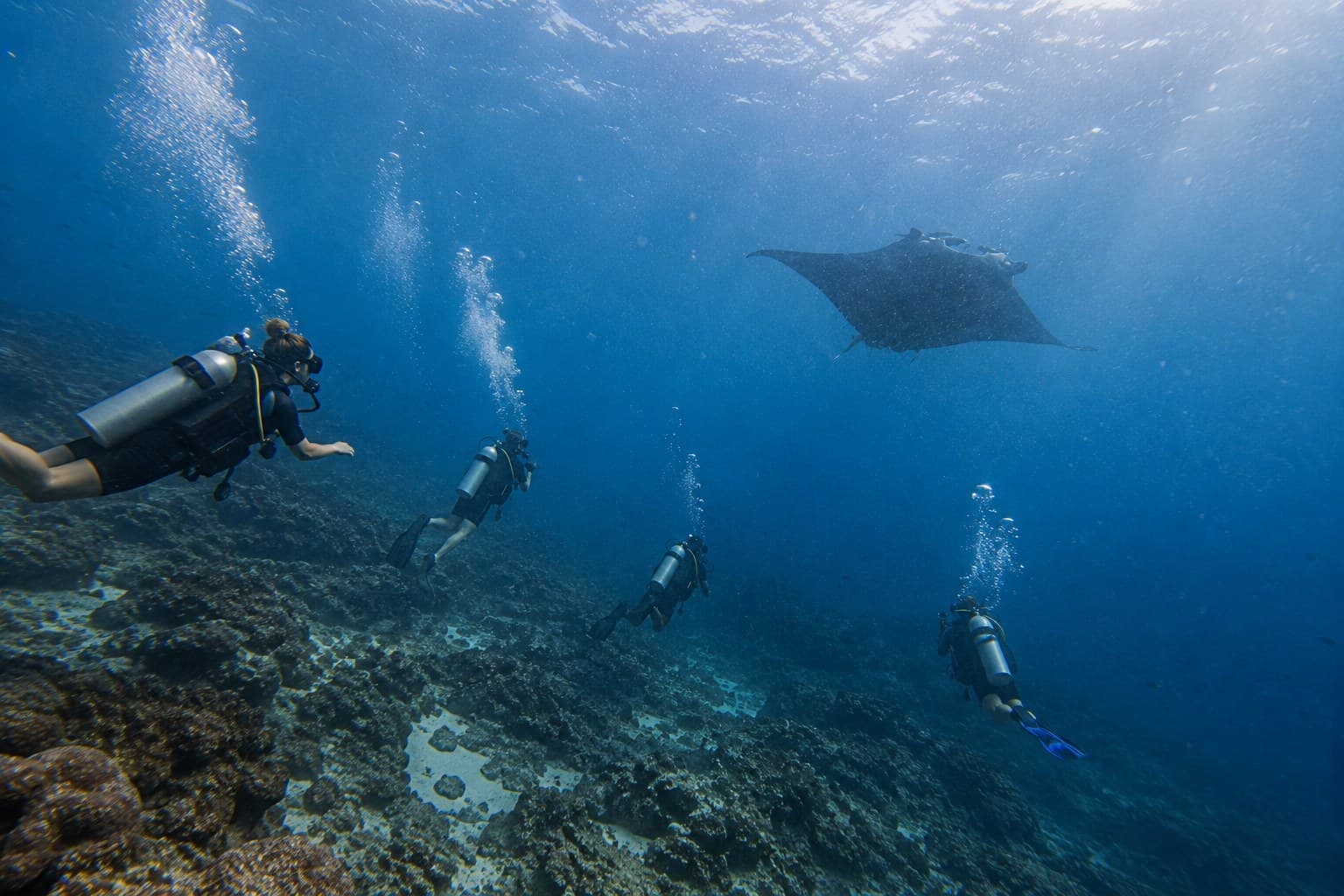 Scuba diving with a manta ray, a Body & Soul wellness retreat.